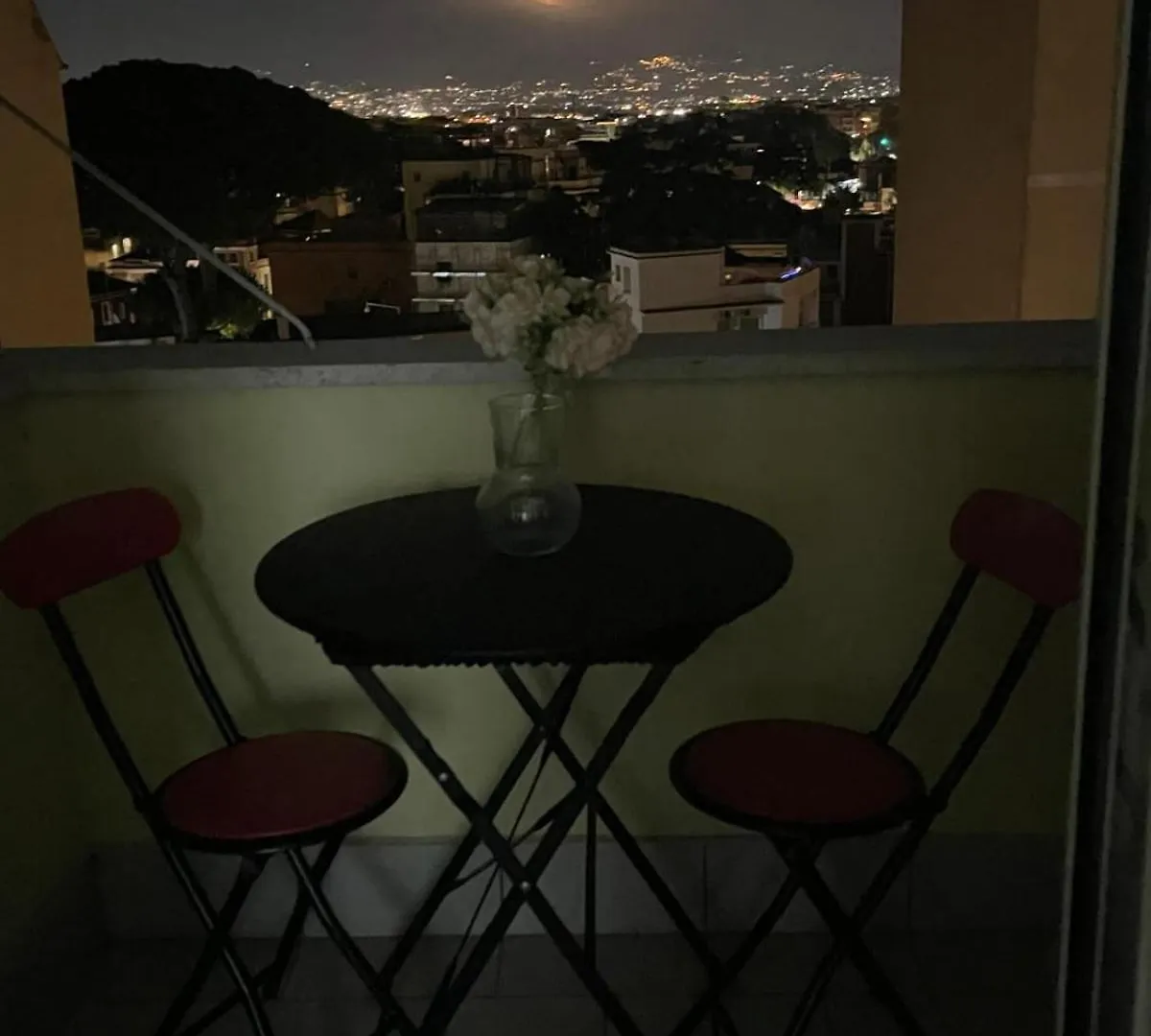Roma View House 